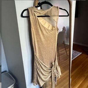 Tiger Mist Gold Dress